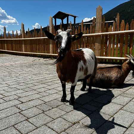 Апартаменти Pichlerhof Planca di Sopra Екстер'єр фото